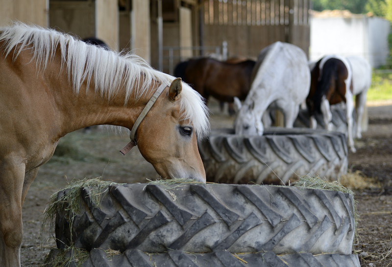 waste disposal household